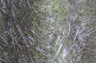 Cock Marling fibreglass roof work